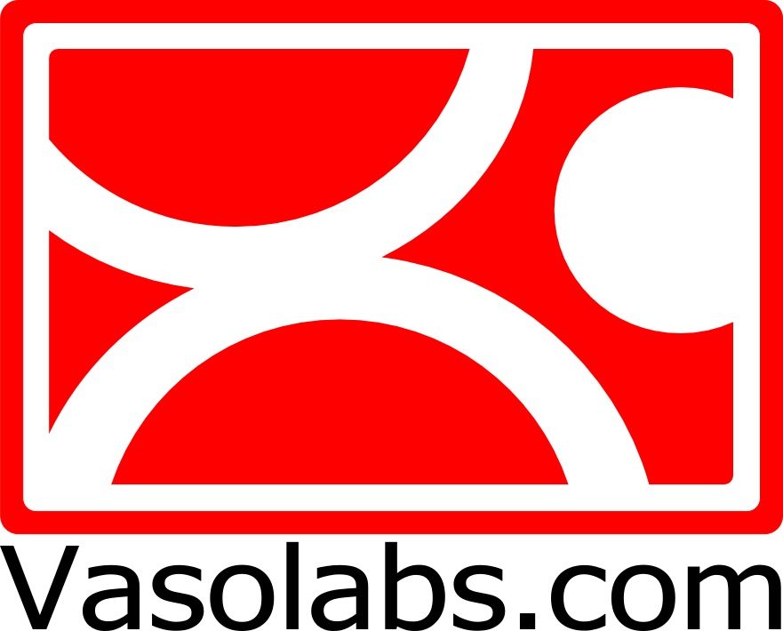 Vasolabs Logo with Text